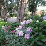 Kalimera *