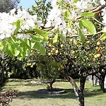 Kalimera דירה *