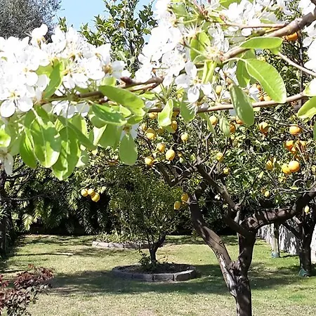 Kalimera Apartman *