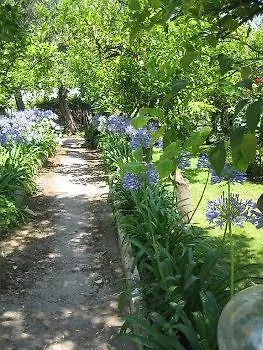 Apartman Kalimera *