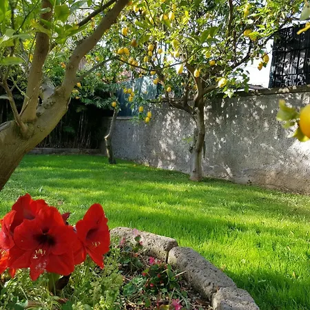 Apartman Kalimera Sorrento