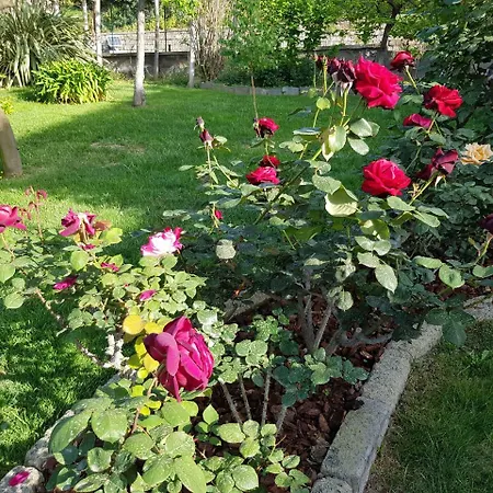 Apartman Kalimera