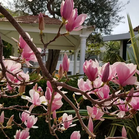 Kalimera Apartman Sorrento