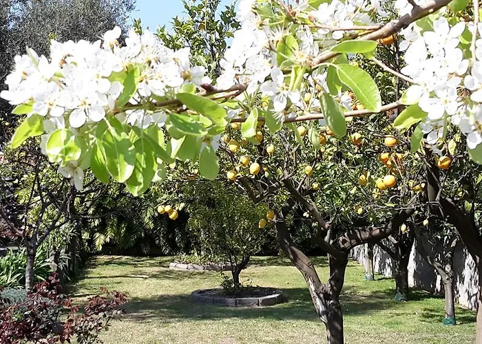 Kalimera Lejlighed *