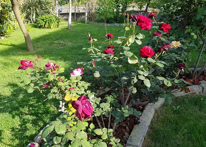 Appartamento Kalimera