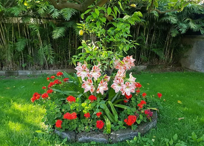 Appartamento Kalimera