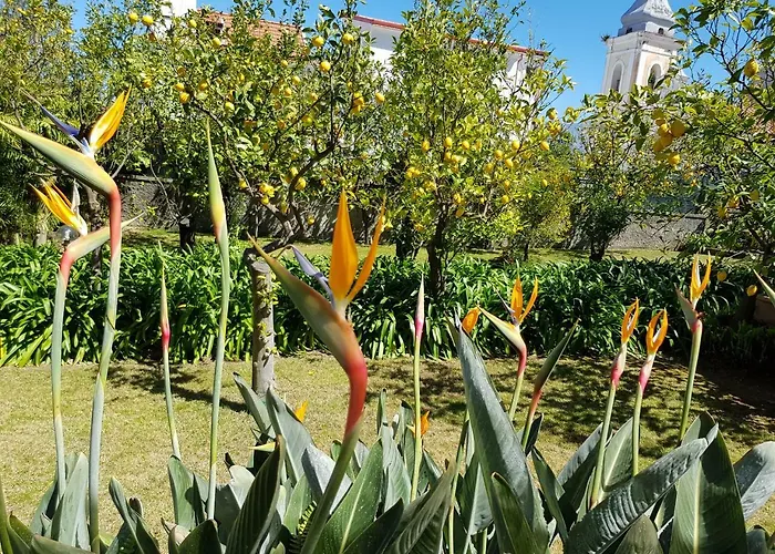 Kalimera Apartmán