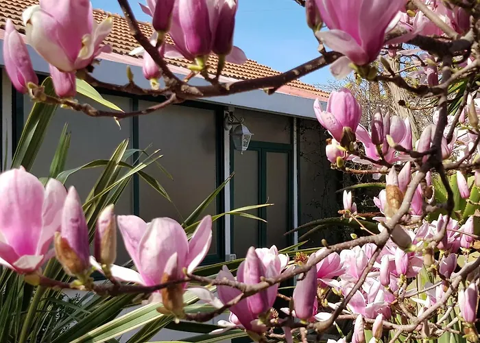 Kalimera Apartmán