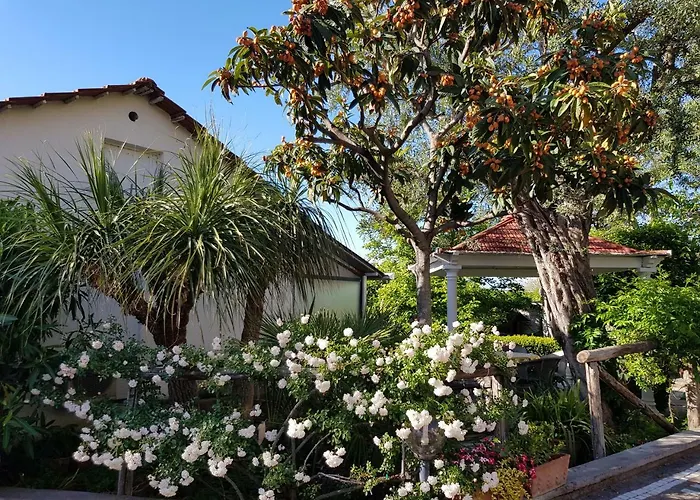 Apartmán Kalimera Sorrento