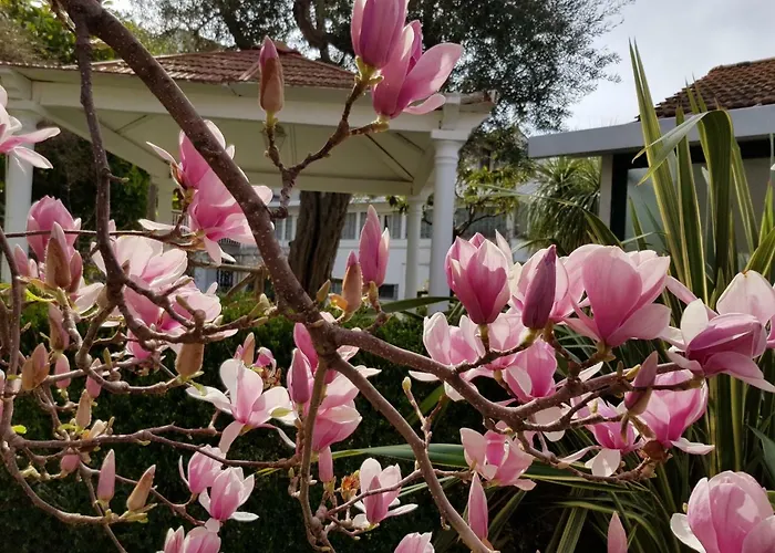 Kalimera Apartmán Sorrento